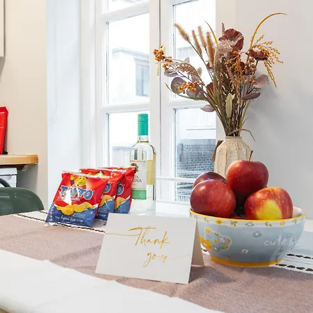 Dublin Central Cozy&Bright 3Br Apt In Temple Bar